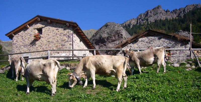 agriturismo