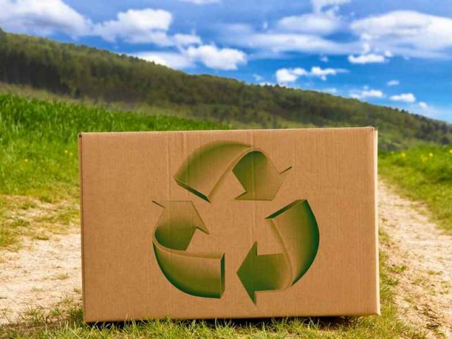 sustainable-paper-and-packaging packaging sostenibile - Sustainable Paper and Packaging
