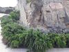 verde in carcere