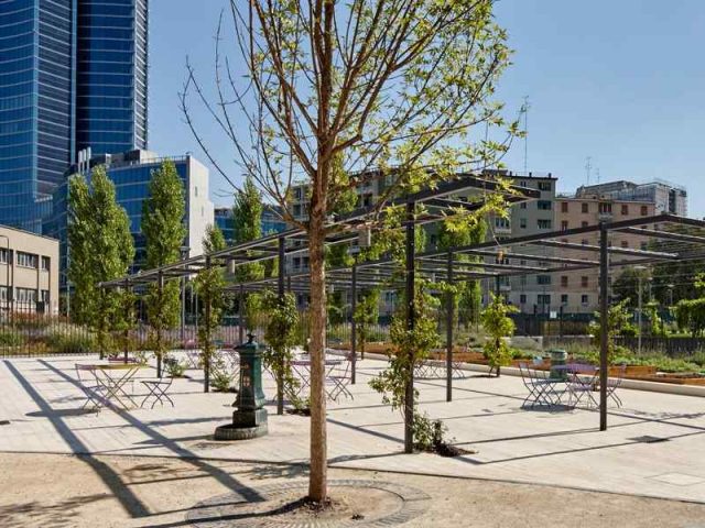 parco-biblioteca-alberi