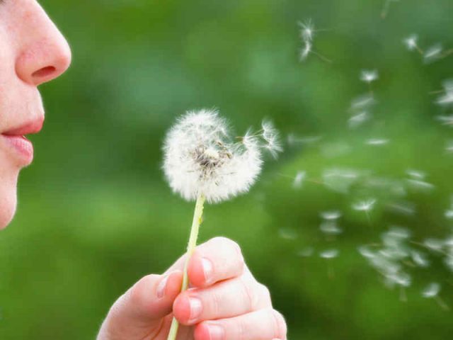 attenzione all'ambiente attenzione all'ambiente