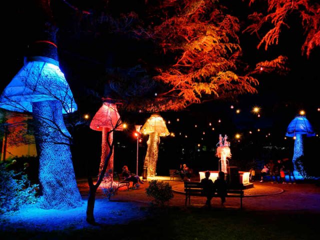 water-light-festival Water Light Festival