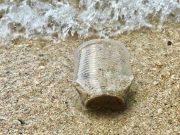 Energy4blue, Eon a fianco di Legambiente plastic shores - energy4blue
