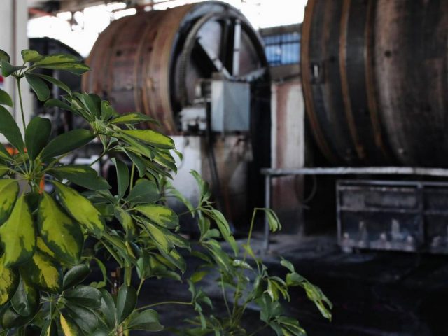 be-green-tannery Be Green Tannery