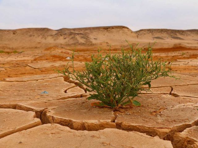 adattamento-cambiamenti-climatici strategia di adattamento ai cambiamenti climatici