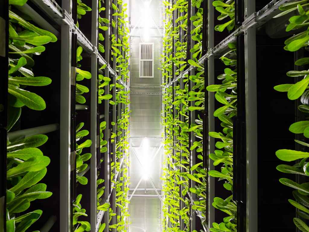 e-commerce e web hosting sostenibile