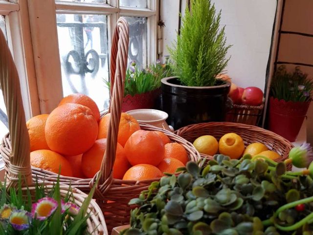 giornata-vegan world vegan day