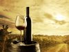 Master in gestione della filiera vitivinicola