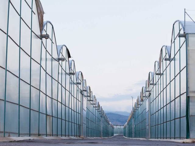agrivoltaico agrivoltaico