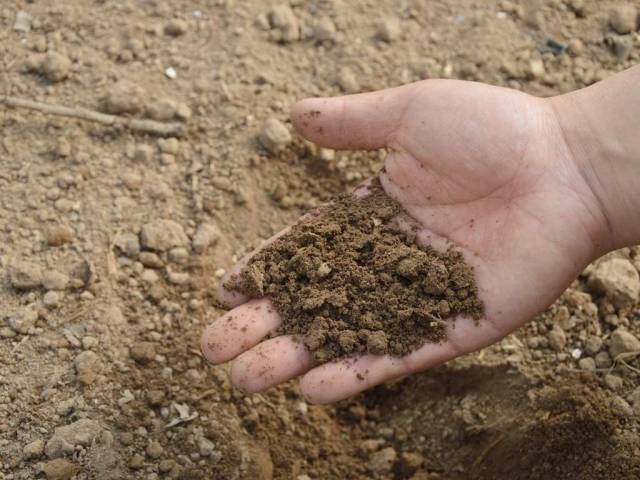 fertilizzanti fertilizzanti