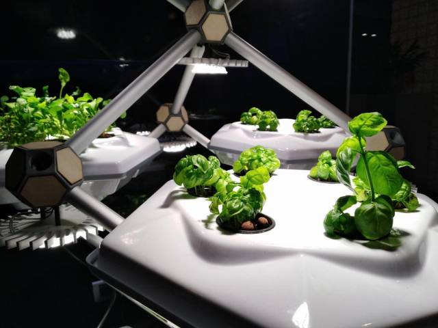 hexagon-urban-farming hexagon urban farming