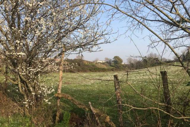 natura-ue la conservazione della natura in europa