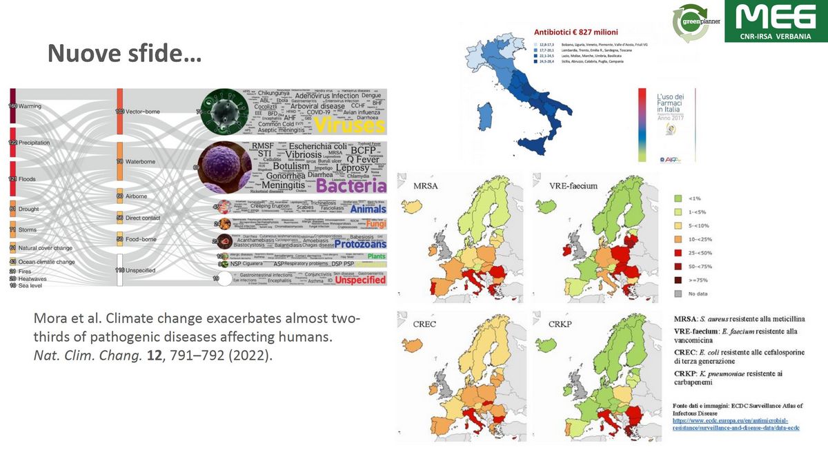 slide 11