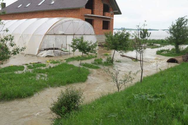 danni agricoltura danni agricoltura