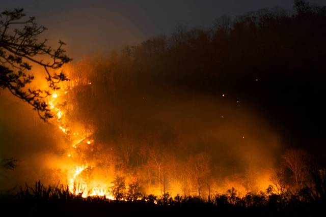 incendi boschivi incendi boschivi