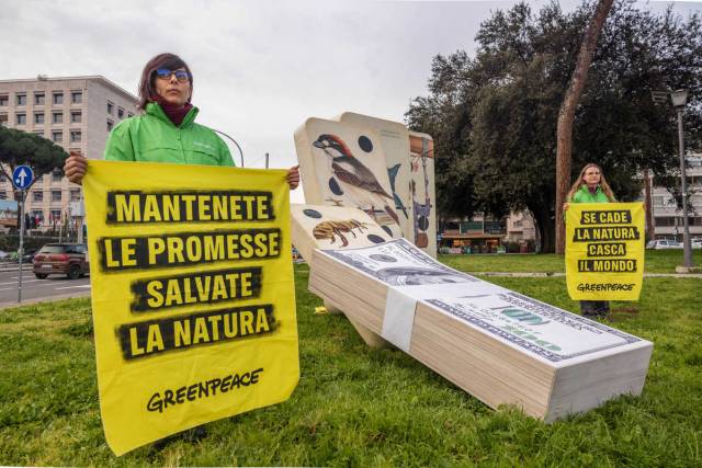cop21bis cop21 bis - roma