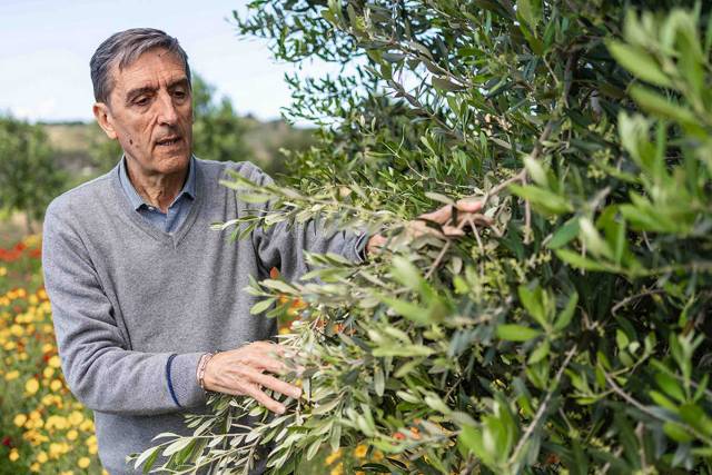 agroecologia agroecologia - se ne parla ad Aemed