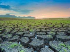 È tempo di neuroetica. Il perché ce lo spiega un neuroscienziato cambiamento climatico