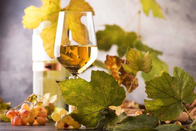pinot-grigio pinot grigio