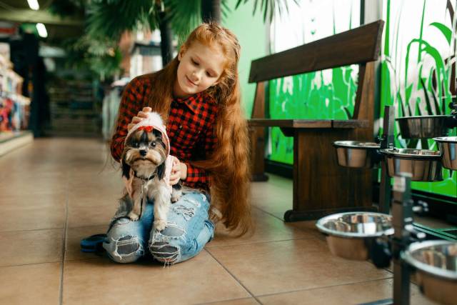 Depositphotos_cani-natale